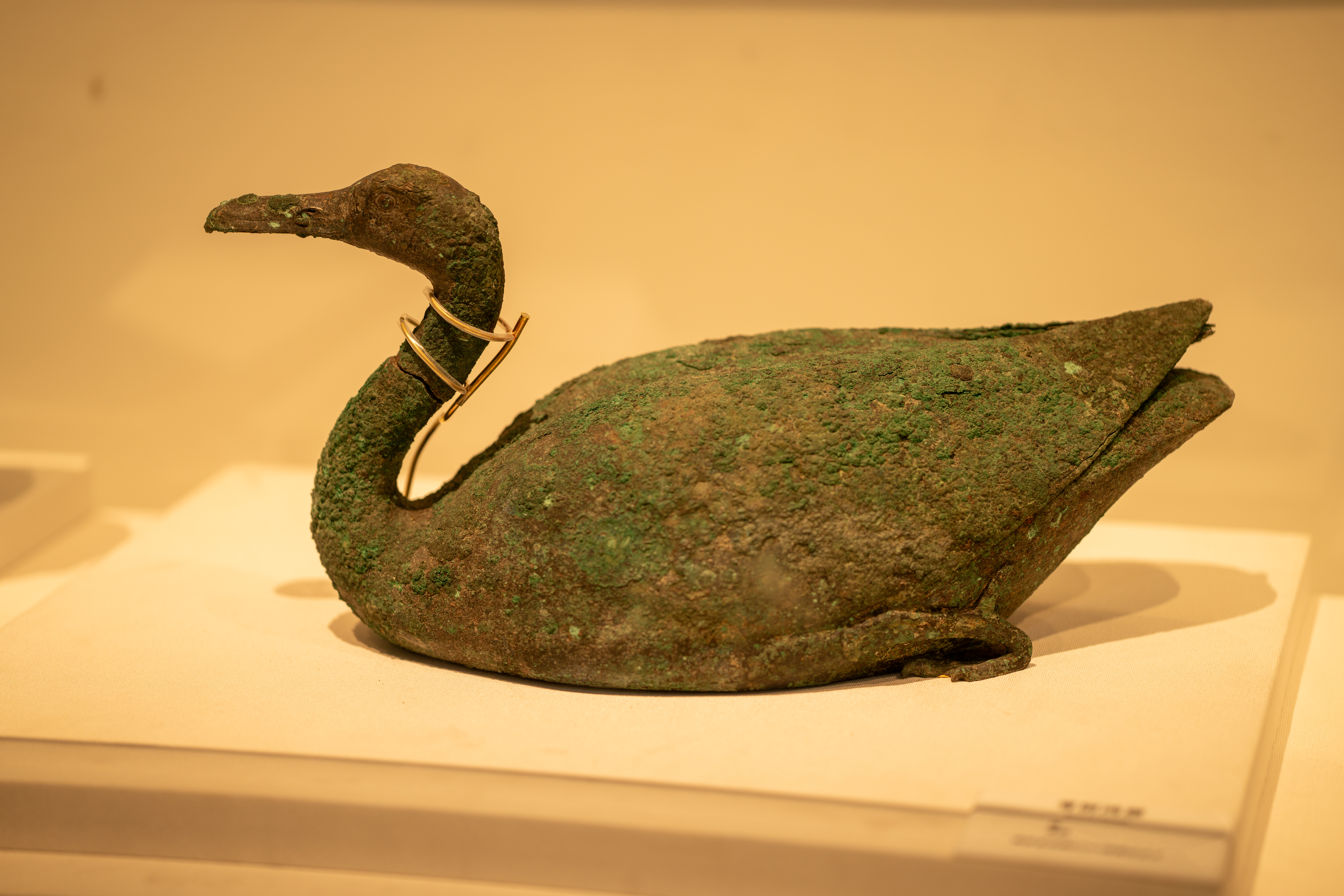 燃料电池监控系统